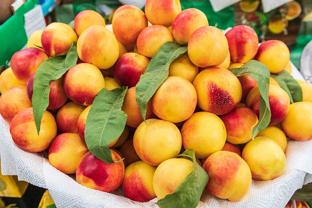 Khujand-Sughd Province-Tajikistan Fresh nectarines for sale at the Panjshanbe Bazaar in Khujand